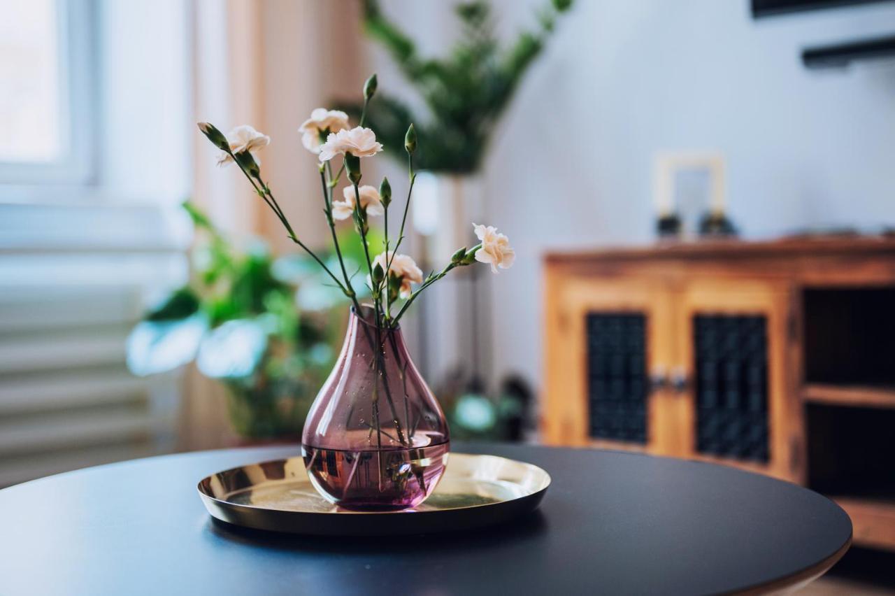 Szpitalna 20 Apartment Nr 8 クラクフ エクステリア 写真