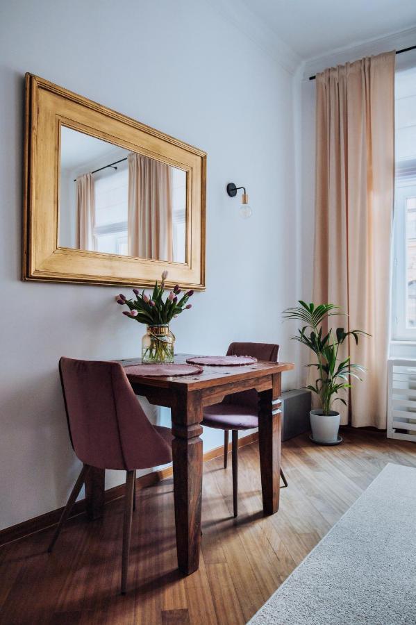 Szpitalna 20 Apartment Nr 8 クラクフ エクステリア 写真